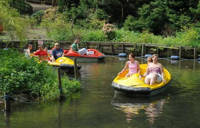 Woodlands_Adventure-Park Woodlands_Adventure-Park