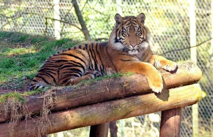 Paignton_Zoo Paignton_Zoo