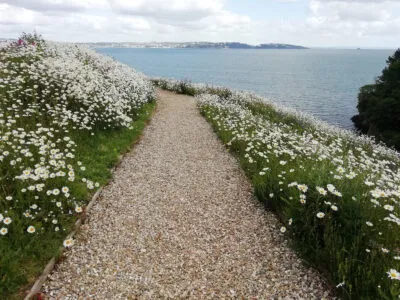 Curlew-Cove-8b